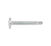 INDEX Fixing Systems TAEZ-Confezione da 500 Viti con testa scanalata autotaladrantes bassa, impronta Phillips e rondella con stampa digitale, zincato, TAEZ4213