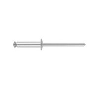Index REFL4814 Rivetti in alluminio, a fiore, con testa sollevata, in acciaio zincato, 4,8 x 14,5 mm, 250 pezzi