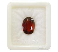 INDIA MADE 8.25 Ratti certificato non riscaldato non trattato Aaa+ qualità e certificato da Ggtl pietra naturale gomed Hessonite astrologica Gemstone-B0BTCYTDZZ
