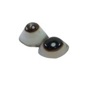 INDIA MADE Bella pietra di agata del terzo occhio Shiva Eye Evil Eye gemma anello di dimensioni perfette 2 pezzi-B08FTDWWXB, argento, zaffiro creato, argento, Zaffiro sintetico