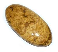 INDIA MADE Diaspro oceanico 1 + 1 naturale easing Reiki cristallo Chakra Bilanciamento Vastu Stone-B07TTJ3MLR