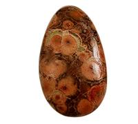 INDIA MADE Red Poppy Jasper Fancy Natural Loose Gemstone 25.3Cts Qa71-B09BR6RZ6W