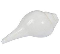Indian Dakshinavarti Lakshmi Natural Pooja/Conch Shell Valampuri Shankh (bianco) da collezione indiano