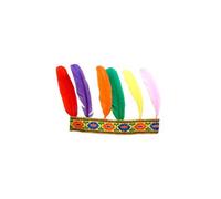 Indian Headband 6 Feathers