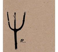 Indian Summer - Giving Birth To Thunder