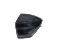 Indicatore Anteriore Destro Specchietto Laterale per Ford C-Max II Dxa / CB7