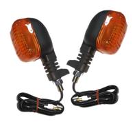 Indicatore Coppia Anteriore Sinistra + Destra per Triumph Daytona 955