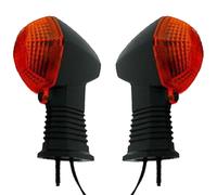 Indicatore Coppia Posteriore Sinistra + Destra per Suzuki GSF 650 S Bandit