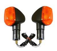 Indicatore Coppia Posteriore Sinistra + Destra per Suzuki GSX 1300 RU2 Hayabusa