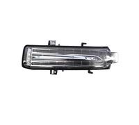 Indicatore di direzione a specchio 2198102576 Indicatore Di Direzione Per Specchietto Retrovisore Per Mercedes Per Benz Classe E W207 R230 R171 CLS SL 2009 2010 2011(Sinistra)