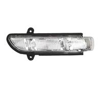 Indicatore di direzione a specchio Per Mercedes Per Benz CL CLS S Classe E W216 W211 W219 Specchietto Retrovisore Auto Indicatore Di Direzione A2198200521 A2198200621(Giusto)