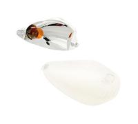 Vicma Indicatore di direzione anteriore destro VIC-8336 per NRG mc³, Pure Jet TPH (06)