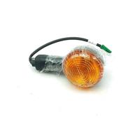 Indicatore di Direzione, Anteriore Sinistro/Posteriore Destro, Royal Enfield Hun