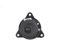 Indicatore di direzione HELLA 2BA 008 221-007 IRISBUS AXER 7.79 2005-2007