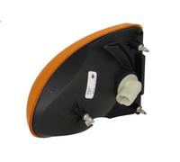 Indicatore di direzione HELLA 2BA008 024-007