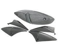 Indicatore di direzione Occhiali e fanale posteriore STR8 per Peugeot Speedfight 2, Carbon Look