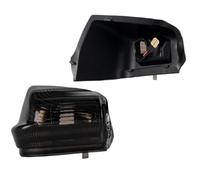 Indicatore di direzione Per Benz Per Sprinter W906 2006-2021 2020 2 PEZZI Luci Per Specchietti Laterali Dinamiche A LED Indicatori Di Direzione Lampade Indicatori di direzione(Smoked)