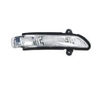 Indicatore Di Direzione Per Specchietto Retrovisore Auto Per Mercedes Per Benz W211 W221 W219 2007 2008 2009 2010 E320 E350 E550 S600 Accessori per auto(lato destro)