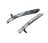 Indicatore di direzione per specchietto retrovisore Esterno per Auto, per Ford Edge, Versione USA 2011-2014 (Sinistra e Destra)