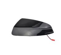 Indicatore Direzione Auto Compatibile con Benz per Viano W639 2010 2011 2012 2013 2014 A2048200721 Indicatori di direzione dinamici Indicatori di direzione specchietti Ripetitore lampeggiante