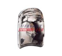 Indicatore Direzione Fast FT87336 per Ford