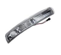 Indicatore Direzione Laterale Compatibile Con Chevy Per Captiva 2007-2016 Specchietto Retrovisore Anteriore Sinistro Destro Luce Di Segnalazione Luci Lampeggianti 94544844(Left)