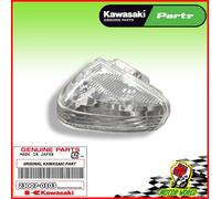 Indicatore Direzione Posteriore Destro KAWASAKI Z 750 2007 2008 2009 2010