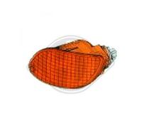 Indicatore direzione SX PER Ford Focus ST170 127 KW 173 CV