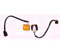 Indicatore Lampada - Ambra - L/R - Per Citroen Relè I Fiat Ducato Peugeot Pugile