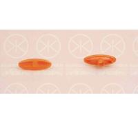 Indicatore Lampada - Ambra - L/R - Per Ford Escort VII (A _ L) MONDEO II Scorpio