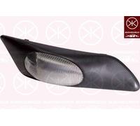 Indicatore Lampada - Trasparente - Dx - Per Iveco Daily III 1999-2006