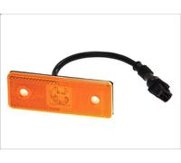 Indicatore laterale DT SPARE PARTS 4.63495 per SETRA Series 400 7.698 2013-