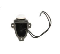 Indicatore laterale WAŚ 131