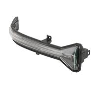 Indicatore Per BMW G30 G31 G32 G11 G12 2016-2023 Specchietto Retrovisore Indicatore Lampada Di Direzione 51167414649 51167414650 Direzione(sinistra e destra)
