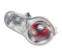 Indicatore Posteriore Con Intermittenti Sinistro V Parts Tipo OE