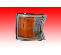 Indicatore Sinistra Destra Adatto A per Scania P G R T LED Luce Marcia Diurna