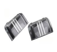 Indicatori di direzione dinamici a LED Per Peugeot Per Boxer 2006-2016 2015 2019 2017 2018 Indicatore Di Direzione Specchio Sinistro Destro Dinamici Frecce(Crystal B)