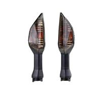 Indicatori Di Direzione Per Moto Per Kawasaki, Per ZX6R, Z 250, 300, 650, 900, 1000, Per Ninja 400, 650, Per Versys 650, 1000(Fumo)