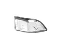 Indicatori Direzione A Led Per Kia Per Sedona Per Carnival 2010, 2011, 2012, 2013, 2014 Indicatore Direzione A LED 876244D000 Spia Specchietto Retrovisore 876144D000 Indicatore Specchietto(Giusto)