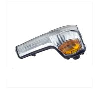 Indicatori Direzione Dinamici Per Iveco Per Daily 2014-2024, Specchietto Retrovisore Indicatore Direzione Copertura Lato Guida Sinistro Sinistro O Lato Passeggero Destro Destro Luci Segnalazione(Sinis