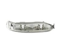 Indicatori Nello Retrovisore Per Benz W209 CLK200 CLK220 CLK240 CLK280 CLK320 2002-2009 Specchietto Retrovisore Per Auto Luce Direzione A LED Lampeggiante Indicatore Di Direzione(Right)