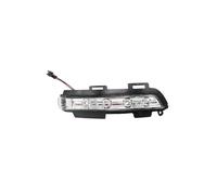 Indicatori Nello Retrovisore Per JAC S2 T40 Codice Articolo 8210100U1910 8210200U1910 Accessori Auto Specchietto Retrovisore Esterno Luce Indicatore Di Direzione Indicatore Di Direzione(1pcs Right)