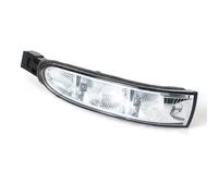 Indicatori Specchio Lateral Per Mercedes Per Benz W164 X164 ML GL300 R320 R350 R450 R500 Specchietto Retrovisore Sinistro Destro Indicatore Direzione Luce Laterale(Sinistra)