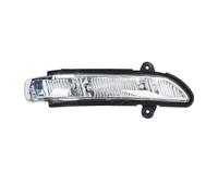 Indicatori Specchio Lateral Specchietto Retrovisore Indicatore Di Direzione Per Mercedes Per Benz W211 W221 W219 2007-2010 E320 E350 E550 S600 S550 S63 S65 2198200621 Indicatori Direzione