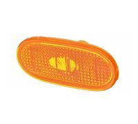 indicatori specchio laterale Indicatore Direzione Auto Lampada Posizione Laterale Per Mercedes Per Benz Per Sprinter W906 Forma Ambrata A0038202956 Freccia Indicatore