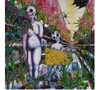 Indigo De Souza Any Shape You Take (Vinyl LP)