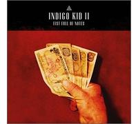 Indigo Kid - Fist Full Of Notes:ii