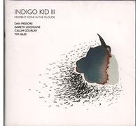 Indigo Kid - Moment Gone In Clouds