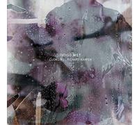 Indigo Mist That the Days Go By and Never Come Again (Vinyl LP) 12" Album