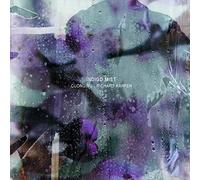 Indigo Mist - That The Days Go By Andnever Come Again